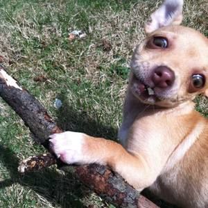 Meet your Posher, A.d.